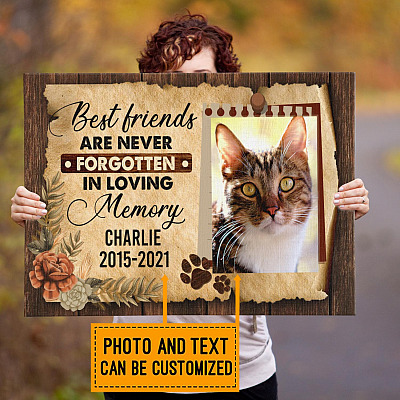 Custom Photo Pet Memorial Gift Best Friends Are Never Forgotten Framed Canvas Prints - Unframed Poster