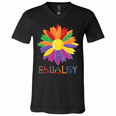 Lgbt Pride Equality Hurts No One T-Shirt, Black, V-Neck T-Shirt