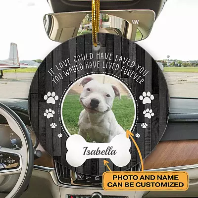 Personalized If Love Could Have Saved You Pet Memorial Decorative Holiday Flat Circle Ornament