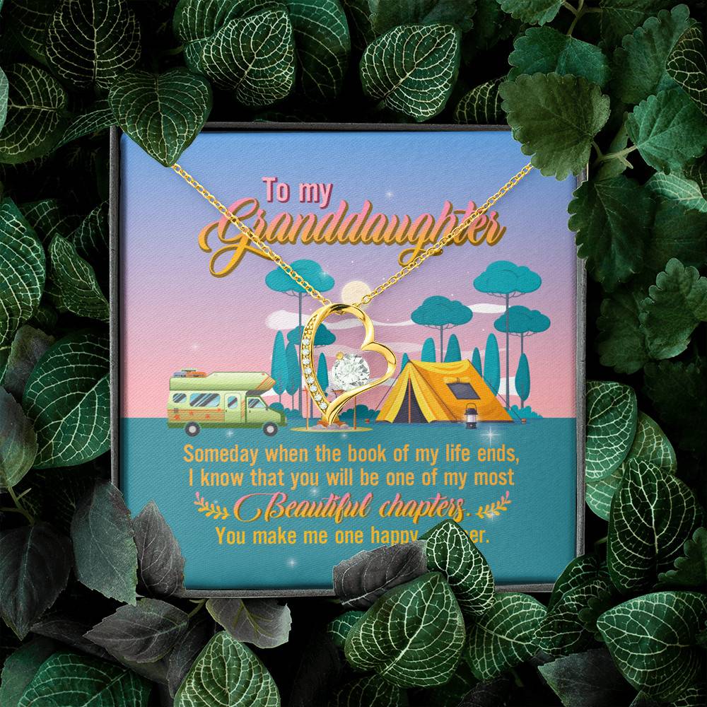 To My Granddaughter Someday When The Book Of My Life Ends Camping Forever Love Heart Pendant Necklace