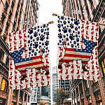 8VT. Chihuahua US Flag House Flag Mockup 2 Side-1