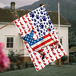 8VT. Chihuahua US Flag House Flag Mockup 4