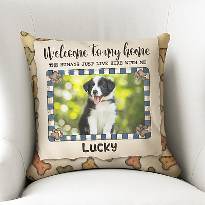 Pillow Cover & Insert