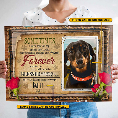 Personalized Photo Sometimes A Very Special Dog Enters Our Lives Framed Canvas Print-Unframed Poster-Wall Art