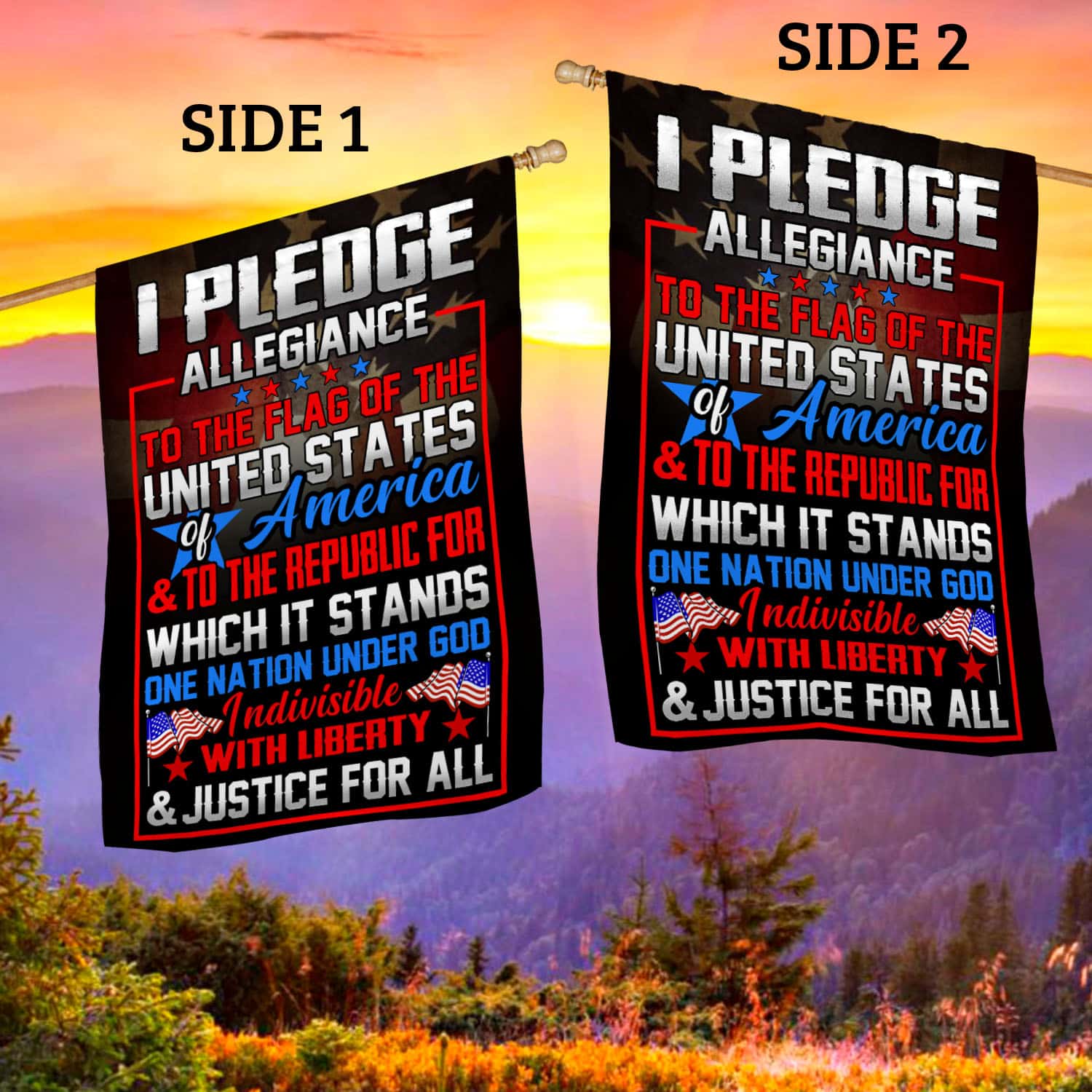 2VT. I Pledge Allegiance Of The US House Flag Mockup 2 Side