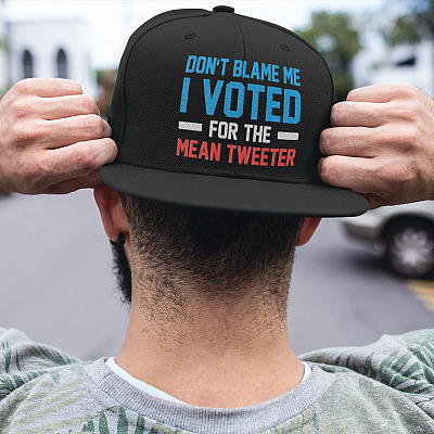 Don't Blame Me I Voted for Mean Tweeter Support Trump Twill Cap - High-Profile Snapback Hat - Trucker Hat