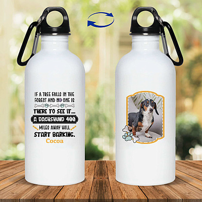 20 oz. Stainless Water Bottle