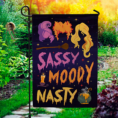 Sassy Moody Nasty Sanderson Sisters Decorative Garden Flag - Indoor Outdoor Flag - House Flag