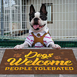 6BN. Dogs Welcome Boston Terrier Doormat Mockup