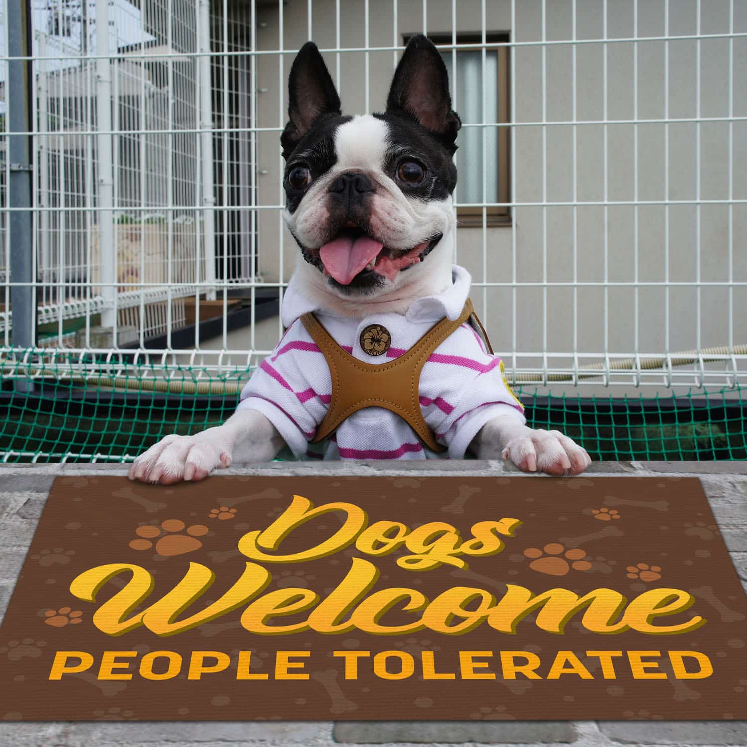 6BN. Dogs Welcome Boston Terrier Doormat Mockup