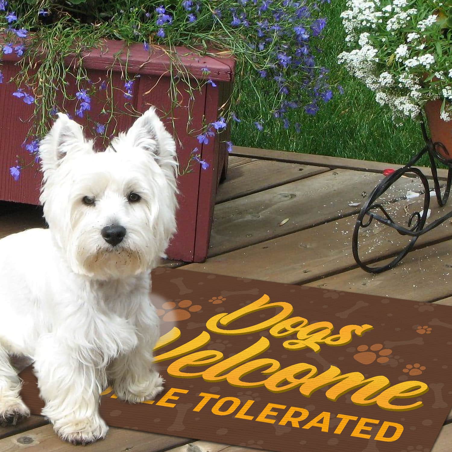 6BN. Dogs Welcome West Highland White Terrier Doormat Mockup
