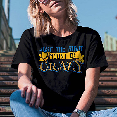 Alternative view of Just the Right Amount of Crazy Funny T-Shirt