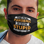2UT. The Real Pandemic (mask) mk