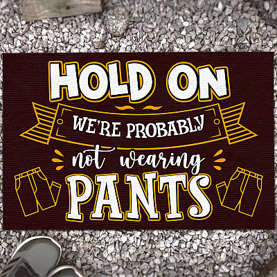 Hold On We're Probably Not Wearing Pants Funny Welcome Rug Entrance Indoor Outdoor Decorative Doormat