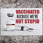 Vaccinated Because We're Not Stupid Doormat Proud Vaccinated Entrance Indoor Outdoor Decorative Doormat