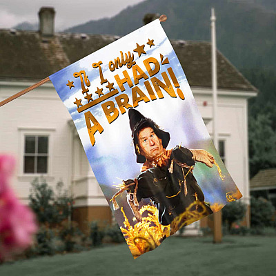 If I only Had a Brain Joe Biden Scarecrow Anti Biden Outdoor Indoor Decorative Garden Flag - House Flag - Wall Flag