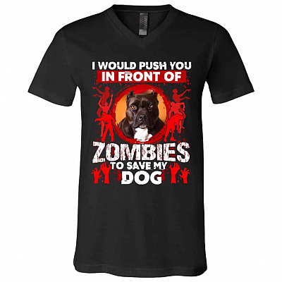 V-Neck T-Shirt
