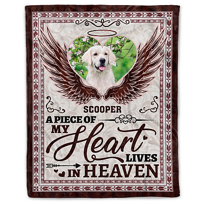 Cozy Plush Fleece Blanket - 50x60