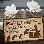 2LV. Paw Readings (6) Mockup 3