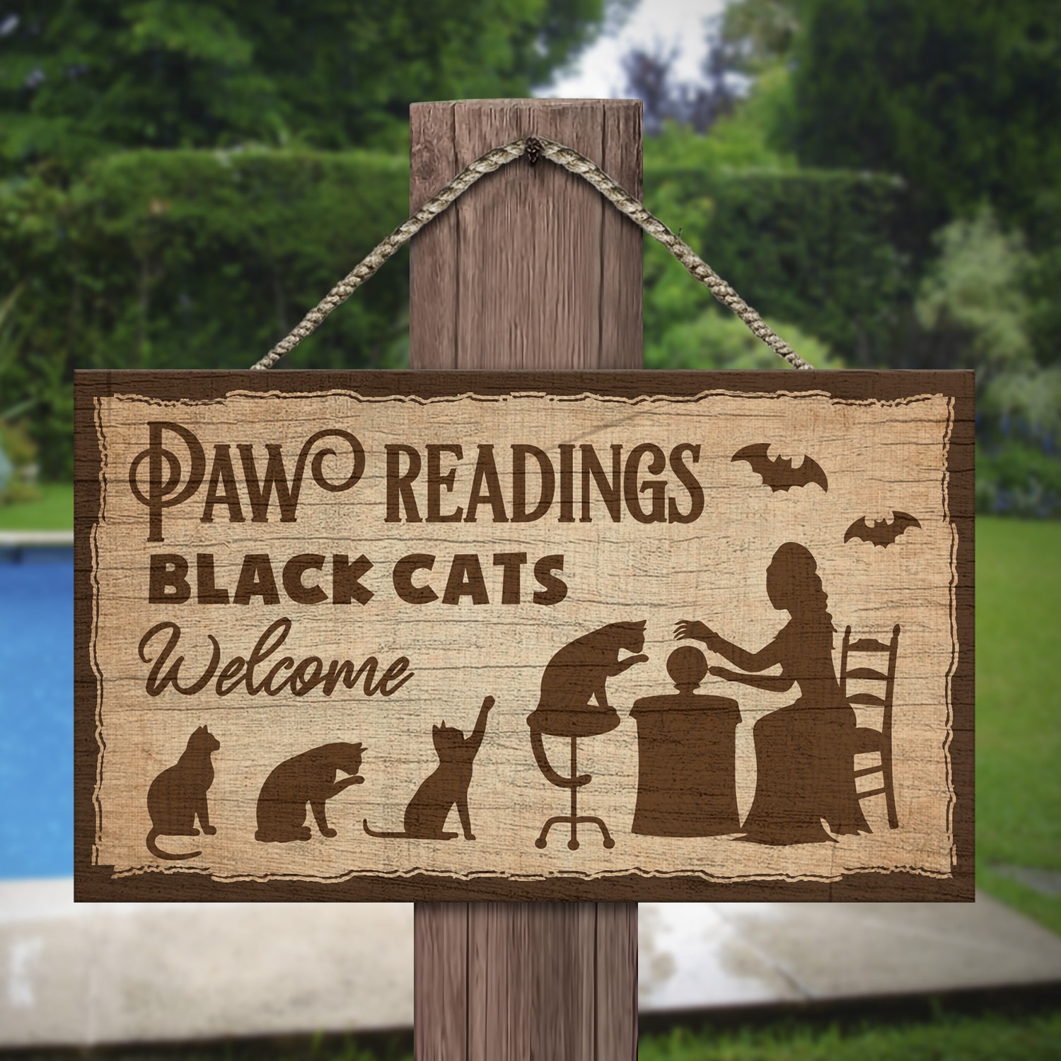 2LV. Paw Readings (6) Mockup 12