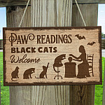 2LV. Paw Readings (6) Mockup 11