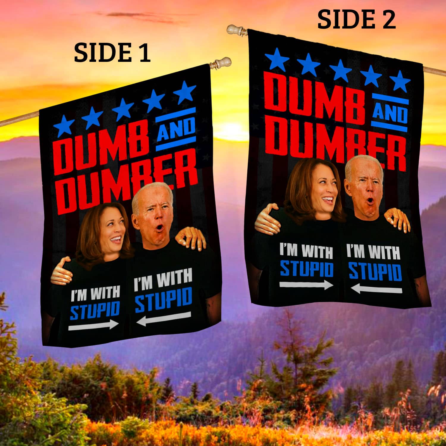 1VT. UU TIEN Dumb And Dumber Biden Harris flag House Flag Mockup 2 Side