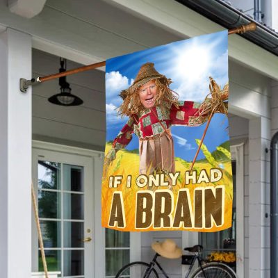 Wall Flag (36" x 60")