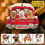 8. Dog Car Christmas (custom 1200) 2