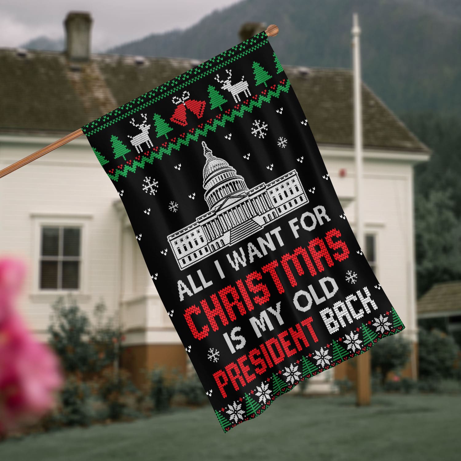 6vt. Old President All I Want House Flag Mockup 4