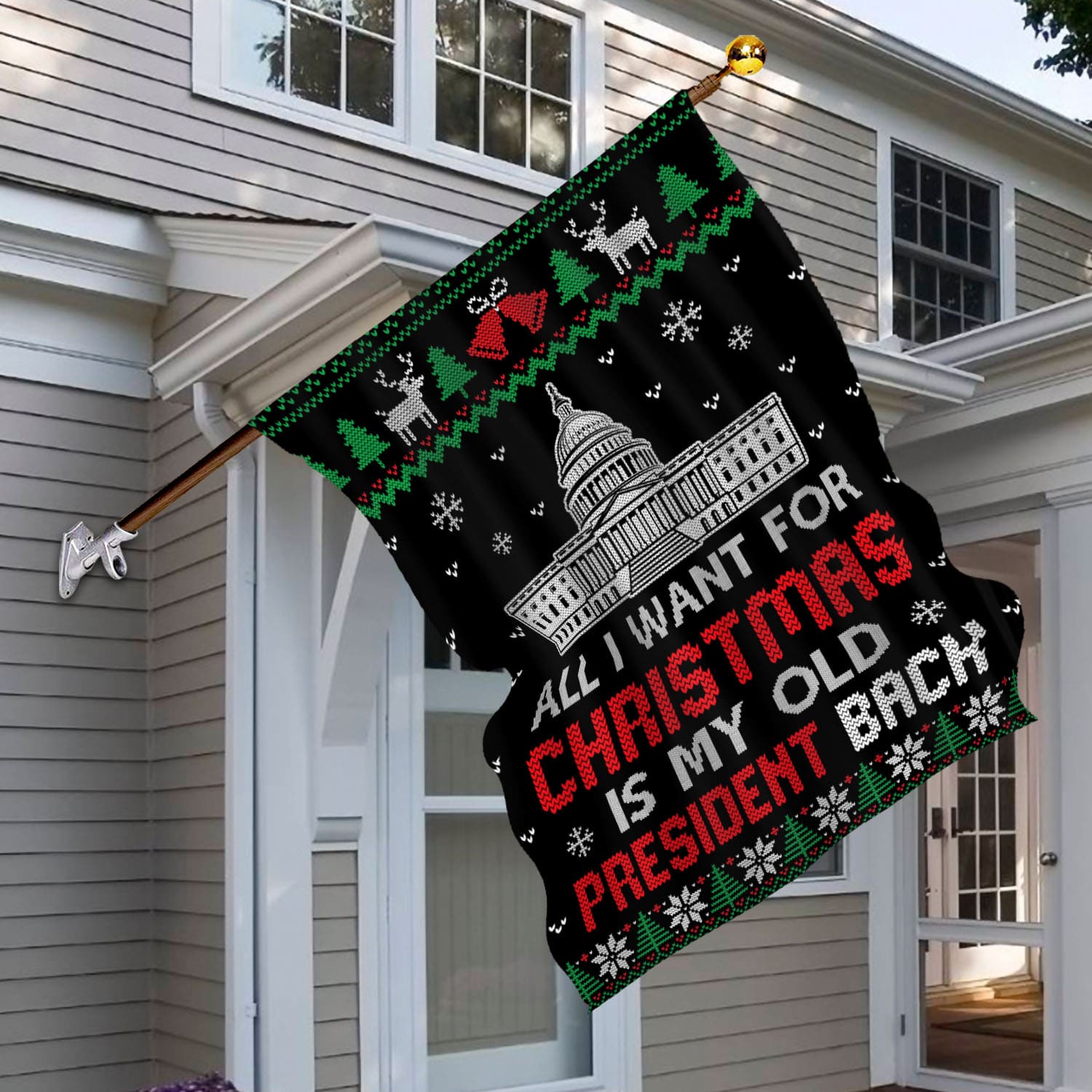 6vt. Old President All I Want House Flag Mockup 6