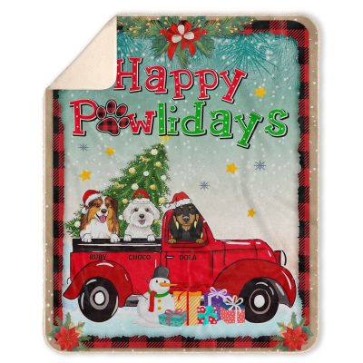 Premium Mink Sherpa Blanket - 50x60