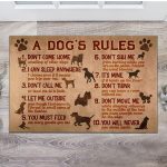 A Dog's Rule Don't Come Home I Can Sleep Anywhere Indoor Outdoor Decorative Doormat - Funny Welcome Mat for Dog Lovers