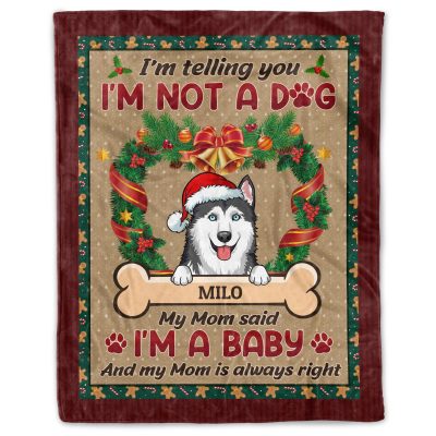 Cozy Plush Fleece Blanket - 50x60