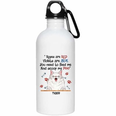 20 oz. Stainless Water Bottle
