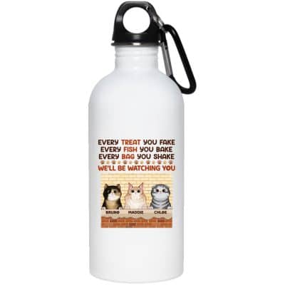 20 oz. Stainless Steel Water Bottle