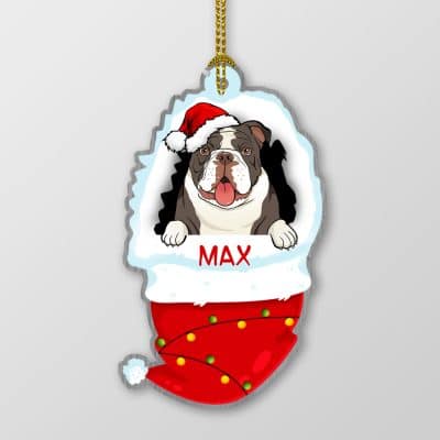 Wooden Ornament