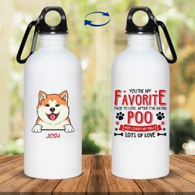 20 oz. Stainless Water Bottle