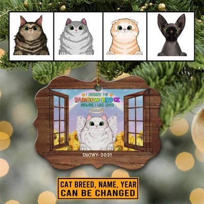 I Crossed The Rainbow Bridge Knowing I Was Loved Personalized Cat Memorial Medallion Metal Ornament Keepsake