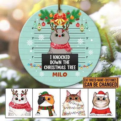 Personalized Cat Breeds I Knocked Down The Christmas Tree Christmas Ornament - Christmas Gifts For Cat Lovers