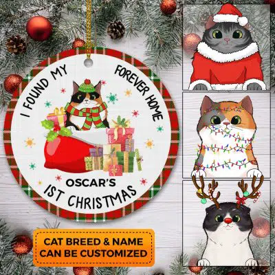 I Found My Forever Home Personalized 1st Christmas Cat Circle Christmas Ornament - Custom Pet Ornament
