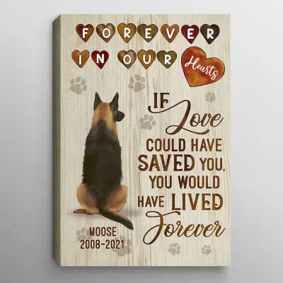 0.75'' Framed Canvas