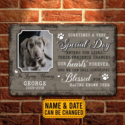 Personalized Photo Sometimes A Very Special Dog Enters Our Lives Dog Memorial Decorative Metal Sign