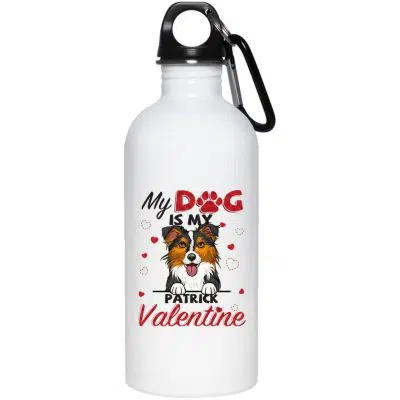 20 oz. Stainless Water Bottle