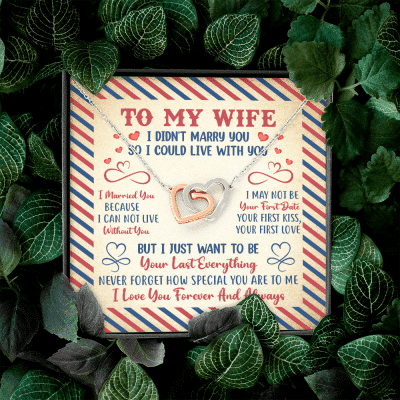 Valentines Gifts for Her To My Wife I Didn't Marry You so I Could Live with You Interlocking Hearts Pendant Necklace