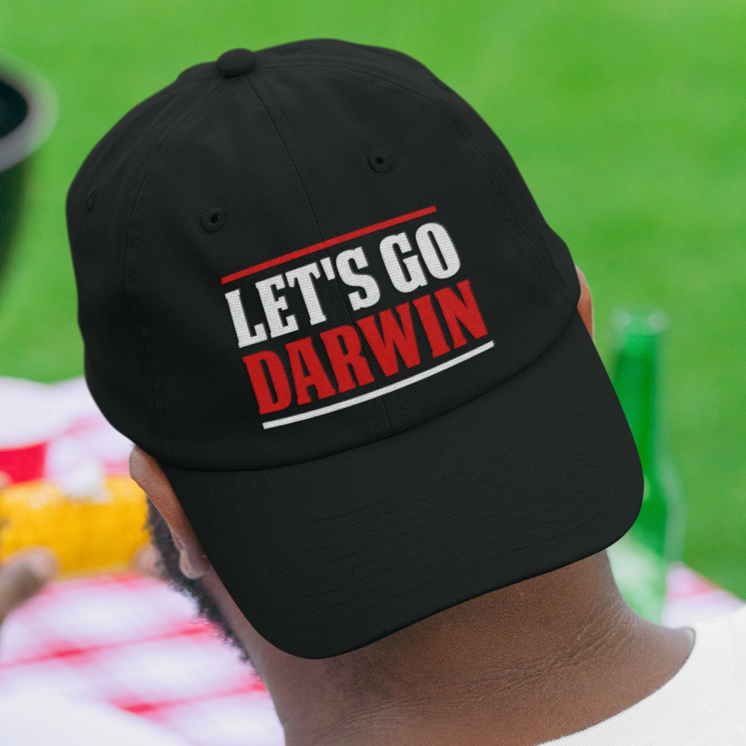 2TM. Lets Go Darwin HAT mk2