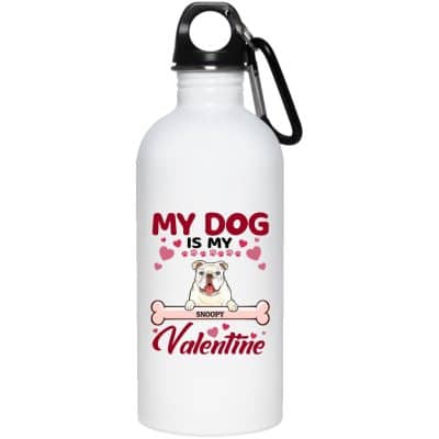 20 oz. Stainless Water Bottle