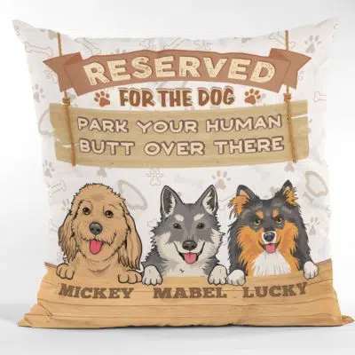 Pillow Cover & Insert