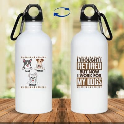 20 oz. Stainless Water Bottle