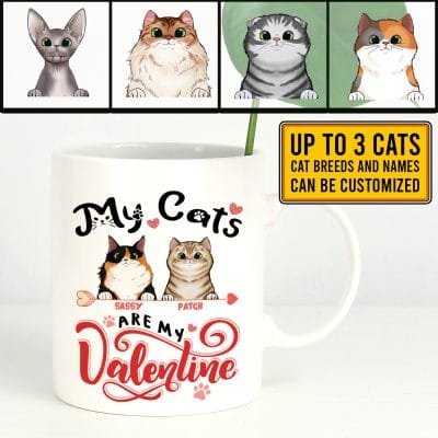 Personalized Cat Breeds My Cats Are My Valentine Ceramic Coffee Mug - Custom Cat Valentine Travel Mug - Water Bottle