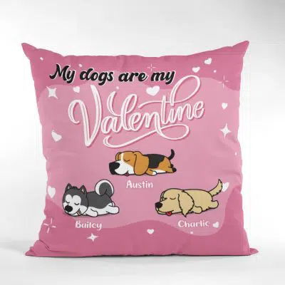 Pillow Cover & Insert